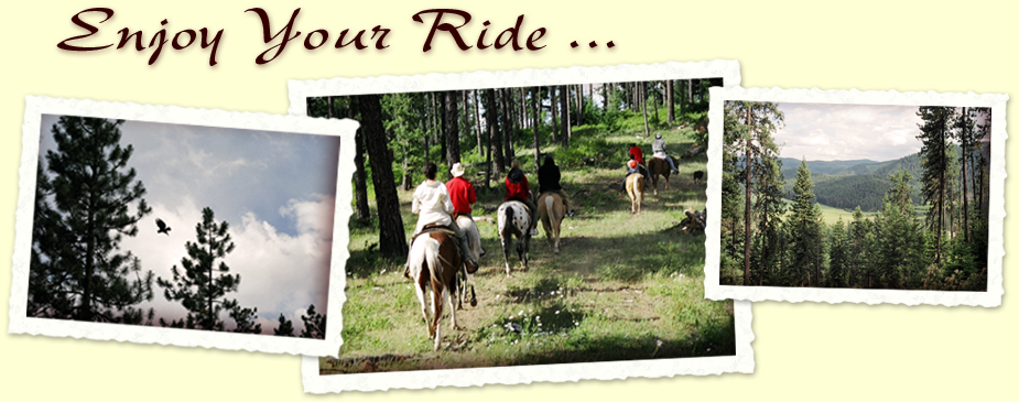 rides