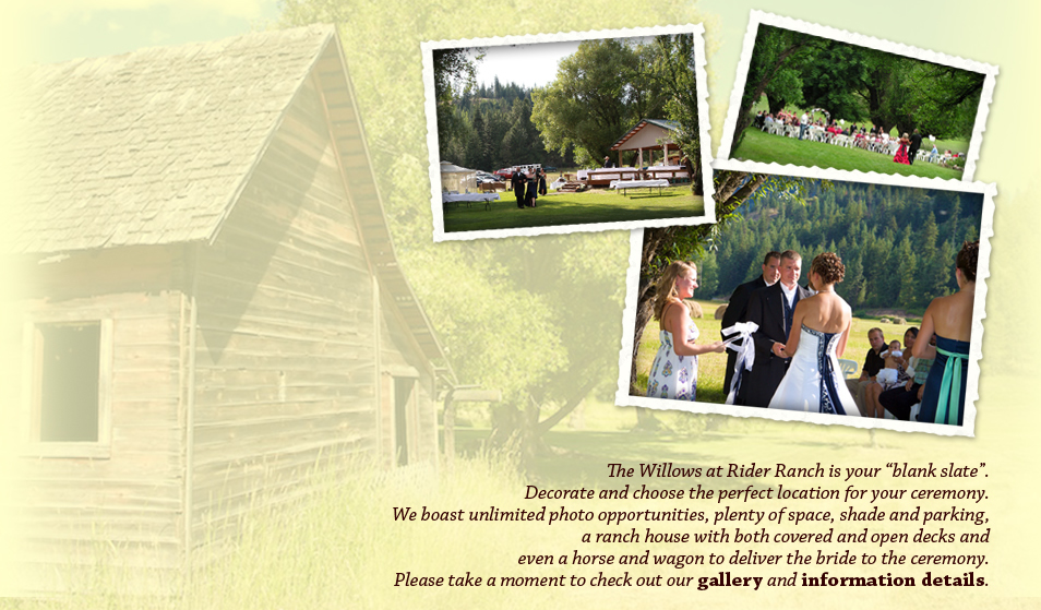 wedding_photos